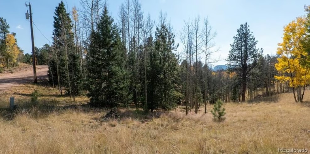 Commercial Property for Sale in Cripple Creek Colorado 80813